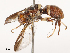  ( - CBG-B17287-D08)  @11 [ ] CreativeCommons - Attribution Share - Alike (2025) CBG Photography Group Centre for Biodiversity Genomics