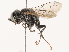  ( - CBG-B17287-G07)  @11 [ ] CreativeCommons - Attribution Share - Alike (2025) CBG Photography Group Centre for Biodiversity Genomics