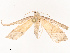  ( - CBG-B19166-F06)  @11 [ ] CreativeCommons - Attribution Share - Alike (2025) CBG Photography Group Centre for Biodiversity Genomics