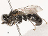 ( - CBG-B19174-D04)  @11 [ ] CreativeCommons - Attribution Share - Alike (2025) CBG Photography Group Centre for Biodiversity Genomics