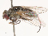 ( - CBG-B19174-F11)  @11 [ ] CreativeCommons - Attribution Share - Alike (2025) CBG Photography Group Centre for Biodiversity Genomics