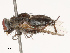  ( - CBG-B19177-E09)  @11 [ ] CreativeCommons - Attribution Share - Alike (2025) CBG Photography Group Centre for Biodiversity Genomics