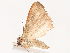  ( - CBG-B17213-E12)  @11 [ ] CreativeCommons - Attribution Share - Alike (2025) CBG Photography Group Centre for Biodiversity Genomics