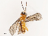  ( - CBG-B17286-B04)  @11 [ ] CreativeCommons - Attribution Share - Alike (2025) CBG Photography Group Centre for Biodiversity Genomics
