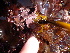  ( - GWS012748)  @11 [ ] CreativeCommons - Attribution Non-Commercial Share-Alike (2010) Unspecified University of New Brunswick