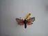  ( - GIRAZ_ED0031)  @11 [ ] Copyright (2023) Drouet Eric Research Collection of Eric Drouet
