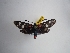  ( - GIRAZ_ED0034)  @11 [ ] Copyright (2023) Drouet Eric Research Collection of Eric Drouet