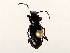  ( - BIOUG56893-C01)  @11 [ ] CreativeCommons - Attribution (2021) CBG Photography Group Centre for Biodiversity Genomics