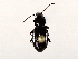  ( - BIOUG56893-C03)  @11 [ ] CreativeCommons - Attribution (2021) CBG Photography Group Centre for Biodiversity Genomics