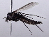 ( - BIOUG56894-B03)  @11 [ ] CreativeCommons - Attribution (2021) CBG Photography Group Centre for Biodiversity Genomics
