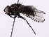  ( - BIOUG56894-E01)  @11 [ ] CreativeCommons - Attribution (2021) CBG Photography Group Centre for Biodiversity Genomics