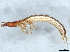  ( - BIOUG60600-E07)  @11 [ ] CreativeCommons - Attribution (2021) CBG Photography Group Centre for Biodiversity Genomics