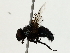  ( - BIOUG85505-C02)  @11 [ ] CreativeCommons - Attribution (2022) CBG Photography Group Centre for Biodiversity Genomics