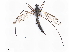  ( - BIOUG89991-H11)  @11 [ ] CreativeCommons - Attribution (2022) CBG Photography Group Centre for Biodiversity Genomics