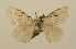  ( - ww01281)  @13 [ ] CreativeCommons - Attribution (2010) creative commons-attribution Centre for Biodiversity Genomics