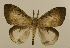  ( - ww01274)  @13 [ ] CreativeCommons - Attribution (2010) creative commons-attribution Centre for Biodiversity Genomics