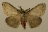  ( - ww01306)  @13 [ ] CreativeCommons - Attribution (2010) creative commons-attribution Centre for Biodiversity Genomics
