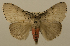  ( - ww01308)  @14 [ ] CreativeCommons - Attribution (2010) creative commons-attribution Centre for Biodiversity Genomics