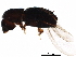  ( - BIOUG28089-G02)  @12 [ ] CreativeCommons - Attribution (2017) CBG Photography Group Centre for Biodiversity Genomics