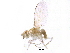  ( - BIOUG28094-C04)  @13 [ ] CreativeCommons - Attribution (2016) CBG Photography Group Centre for Biodiversity Genomics
