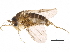  (Metopina_group - BIOUG19394-H07)  @15 [ ] CreativeCommons - Attribution (2015) CBG Photography Group Centre for Biodiversity Genomics