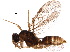 ( - BIOUG19395-G03)  @14 [ ] CreativeCommons - Attribution (2015) CBG Photography Group Centre for Biodiversity Genomics