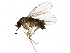  (Metopina_group - BIOUG19590-C03)  @15 [ ] CreativeCommons - Attribution (2015) CBG Photography Group Centre for Biodiversity Genomics