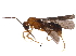  ( - BIOUG22612-D06)  @13 [ ] CreativeCommons - Attribution (2016) CBG Photography Group Centre for Biodiversity Genomics