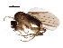  ( - BIOUG23587-B07)  @15 [ ] CreativeCommons - Attribution (2016) CBG Photography Group Centre for Biodiversity Genomics