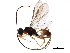  ( - BIOUG24961-D08)  @14 [ ] CreativeCommons - Attribution (2017) CBG Photography Group Centre for Biodiversity Genomics