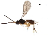  ( - BIOUG25186-E12)  @14 [ ] CreativeCommons - Attribution (2017) CBG Photography Group Centre for Biodiversity Genomics