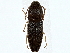  ( - BIOUG77746-A05)  @11 [ ] CreativeCommons - Attribution (2022) CBG Photography Group Centre for Biodiversity Genomics