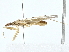  ( - BIOUG77746-A09)  @11 [ ] CreativeCommons - Attribution (2022) CBG Photography Group Centre for Biodiversity Genomics