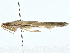  ( - BIOUG77746-A10)  @11 [ ] CreativeCommons - Attribution (2022) CBG Photography Group Centre for Biodiversity Genomics