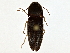  ( - BIOUG77746-H02)  @11 [ ] CreativeCommons - Attribution (2022) CBG Photography Group Centre for Biodiversity Genomics