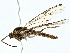  ( - BIOUG77747-F06)  @11 [ ] CreativeCommons - Attribution (2022) CBG Photography Group Centre for Biodiversity Genomics