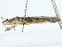  ( - BIOUG89930-C05)  @11 [ ] CreativeCommons - Attribution (2022) CBG Photography Group Centre for Biodiversity Genomics
