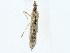  ( - BIOUG89930-C06)  @11 [ ] CreativeCommons - Attribution (2022) CBG Photography Group Centre for Biodiversity Genomics