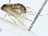  ( - BIOUG89932-C05)  @11 [ ] CreativeCommons - Attribution (2022) CBG Photography Group Centre for Biodiversity Genomics
