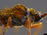  ( - BIOUG84663-G11)  @11 [ ] CreativeCommons - Attribution (2023) Donald Hobern International Barcode of Life Project