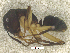 ( - MACN-Bar-Ins-ct 08328)  @12 [ ] Copyright (2019) Pablo L Tubaro MACN