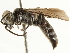  ( - BIOUG41757-B02)  @11 [ ] CreativeCommons - Attribution (2019) CBG Photography Group Centre for Biodiversity Genomics