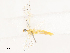  ( - CBG-B04135-F05)  @11 [ ] CreativeCommons - Attribution Share - Alike (2025) CBG Photography Group Centre for Biodiversity Genomics