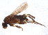  ( - BIOUG12719-E03)  @14 [ ] CreativeCommons - Attribution (2014) CBG Photography Group Centre for Biodiversity Genomics