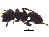  ( - BIOUG12779-H02)  @13 [ ] CreativeCommons - Attribution (2014) CBG Photography Group Centre for Biodiversity Genomics
