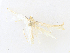  ( - BIOUG64507-B11)  @11 [ ] CreativeCommons - Attribution Share - Alike (2024) CBG Photography Group Centre for Biodiversity Genomics