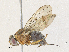  ( - BIOUG64513-B03)  @11 [ ] CreativeCommons - Attribution Share - Alike (2024) CBG Photography Group Centre for Biodiversity Genomics