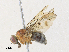  ( - BIOUG64513-B04)  @11 [ ] CreativeCommons - Attribution Share - Alike (2024) CBG Photography Group Centre for Biodiversity Genomics
