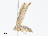  ( - CBG-A08748-D08)  @11 [ ] CreativeCommons - Attribution Share - Alike (2023) CBG Photography Group Centre for Biodiversity Genomics