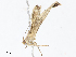  ( - CBG-A08749-B10)  @11 [ ] CreativeCommons - Attribution Share - Alike (2023) CBG Photography Group Centre for Biodiversity Genomics